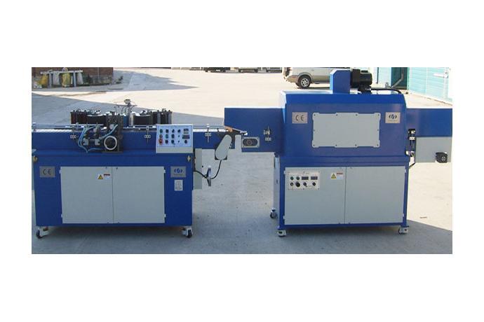 Two Color Auto Pad Printing M/C (Passenger Type)