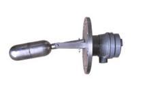 Magnetic Float Type
