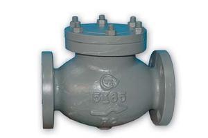 Swing Check Valve