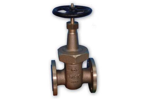 Gate Valve (Non-rising Stem)