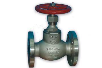 Globe Valve