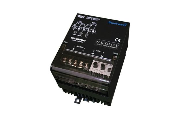 Thyristor Unit 1Phase 220~440V(DG/DH type)
