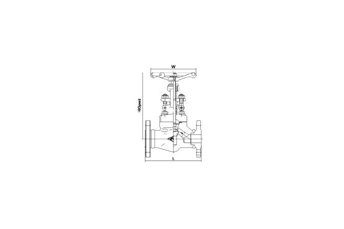 Glove Valve (Flange)
