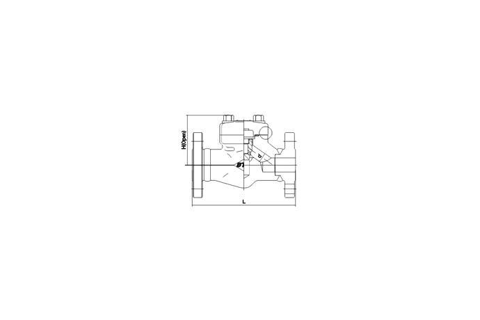 Check Valve