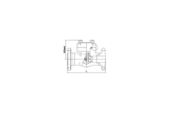 Check Valve (Flange)