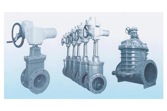 Soft Sealing Valves
