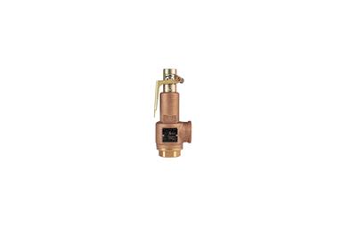 Low Lift Type Safety Relief Valve
