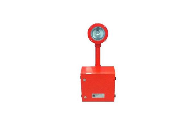 Microprocessor Sequence Flash Light