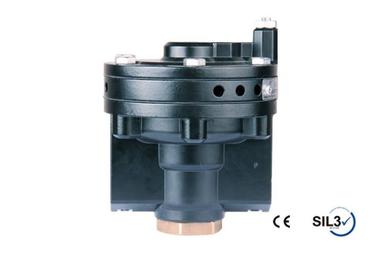 Large Size (3/4″)