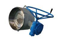 Butterfly Valve